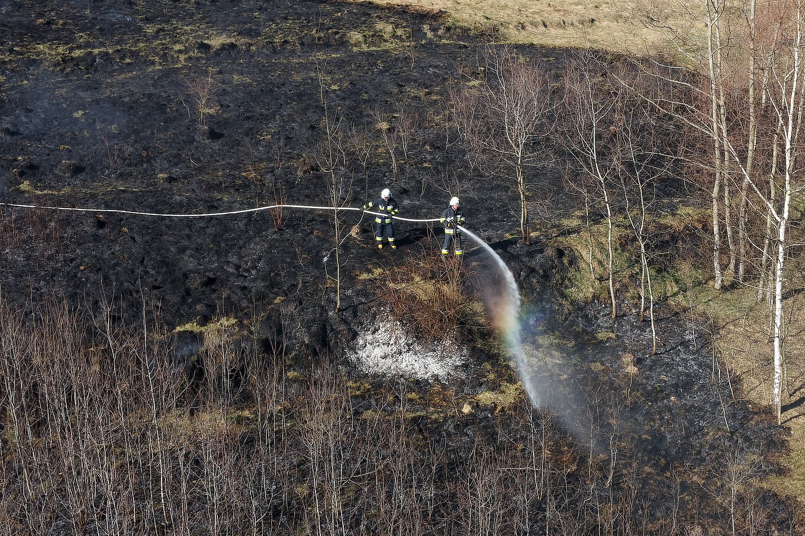 DJI_0347_DxO