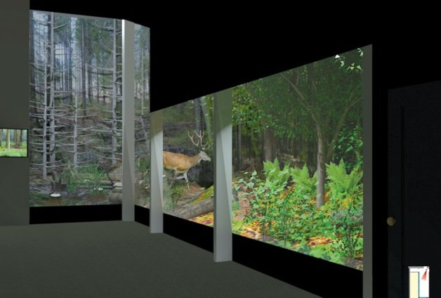 image5